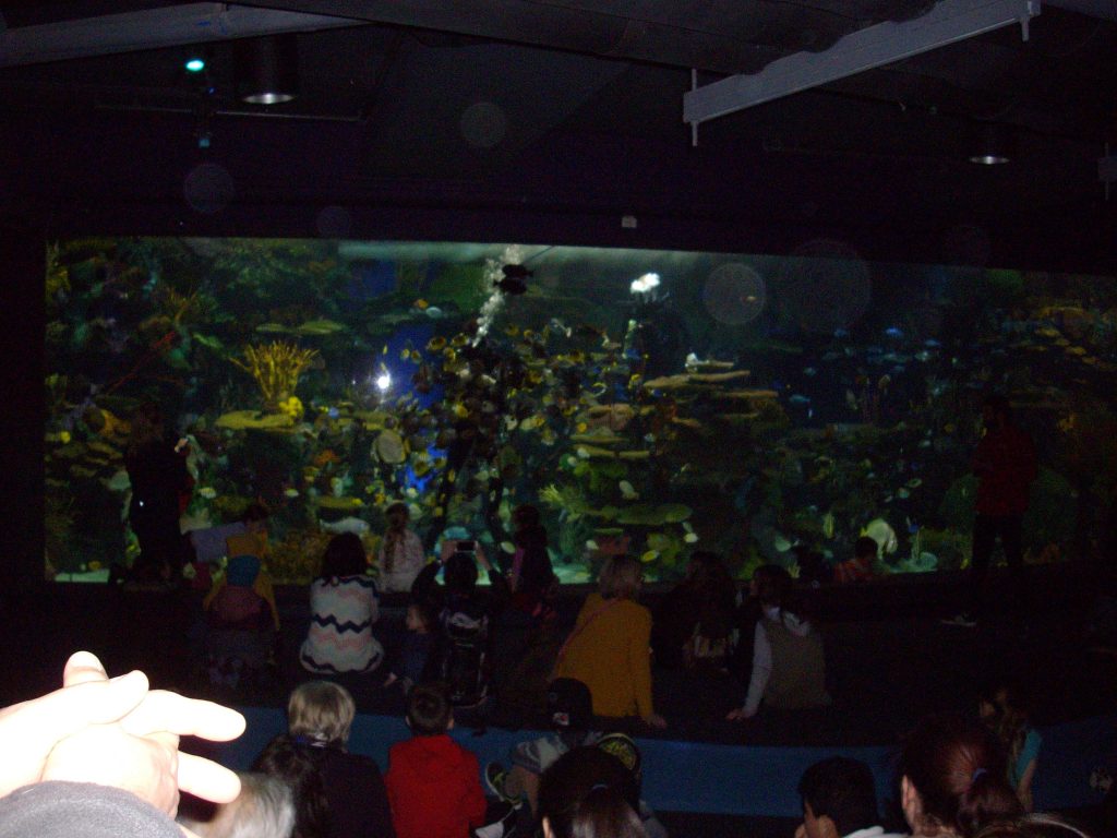 Ripley's Aquarium, Toronto, fish, aquarium, animal rights