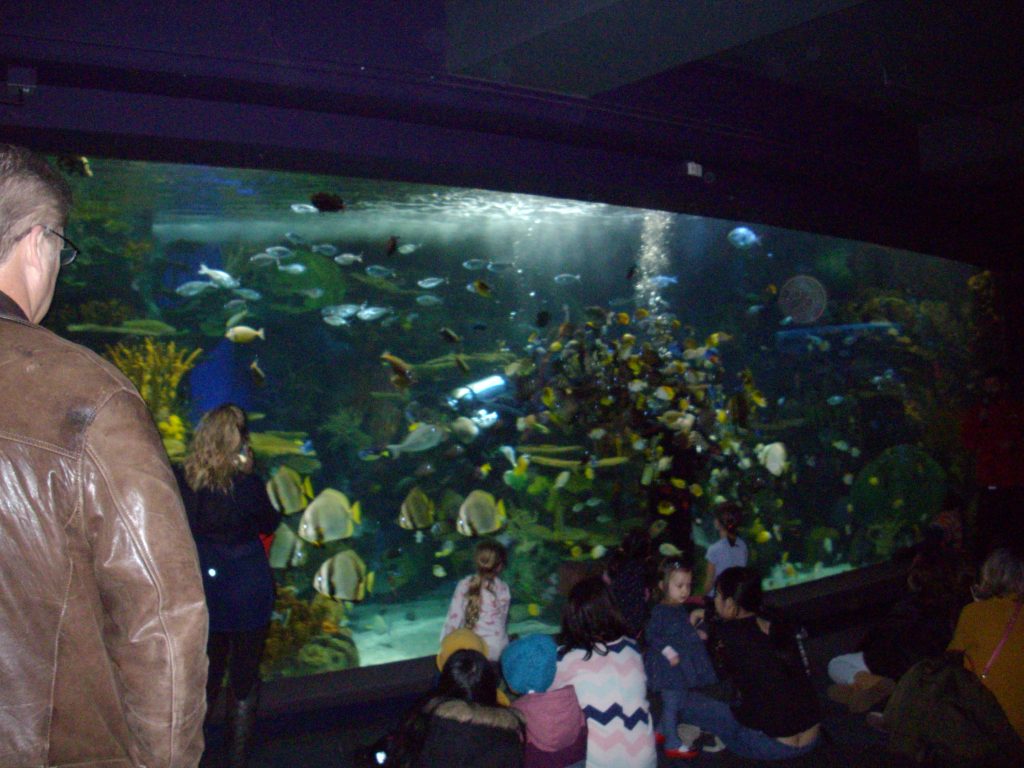 Ripley's Aquarium, Toronto, fish, aquarium, animal rights