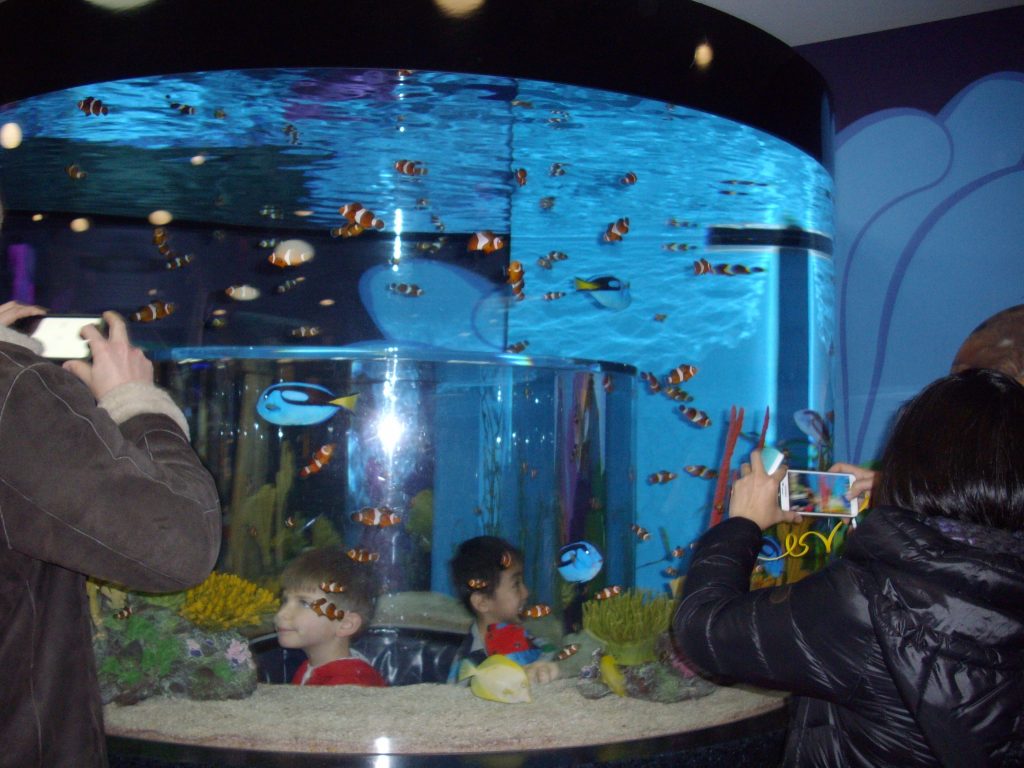 Ripley's Aquarium, Toronto, fish, animal rights