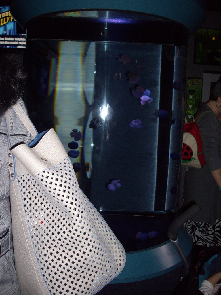 Ripley's Aquarium, Toronto, fish, animal rights